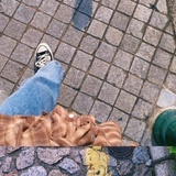 easonlo