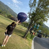 顽固之花的绽放