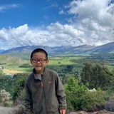 shengyi