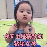 会飞的猪