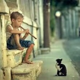 高老猫
