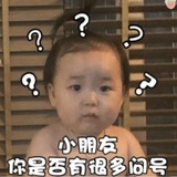 一只呆呆呆呆