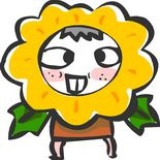 转基因向日葵