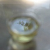 VA-PHOTO