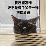 飞机场里开火车