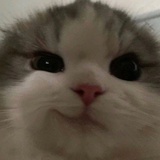 銀造人