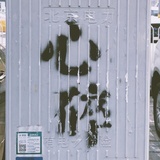 谢顶少年