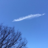 沈犹灯