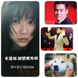eddie家的33