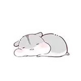 漫游先森
