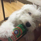 七百六十一