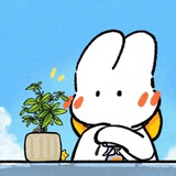 开开开