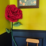 气泡话梅冰美式