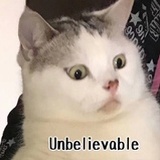 一两燃面不放葱