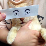 louhifon_连
