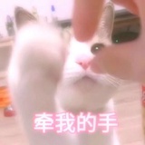 不知名鱼头