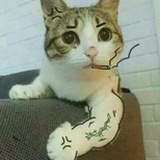 忘我流离
