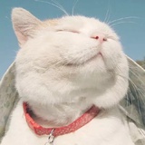 不要停止思考