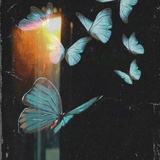 Birdyfly