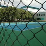 想当情色小说家