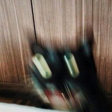 清水