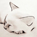 暴走蜗牛君