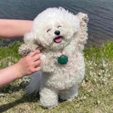 乂安