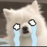 今夜闯荡school