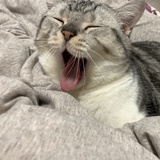 ddorayoung