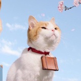 宁南