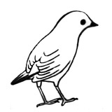 佟锦绣