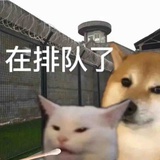 一只咸鸭蛋