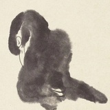 昏舍散人