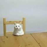 皮卡丘