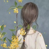 寒雨落