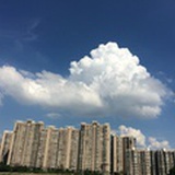 灰米