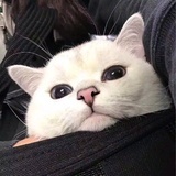 一杯多肉小葡萄