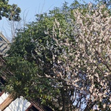 做大做强创辉煌