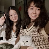 喵酱11278
