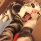 一直很安静