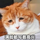 等待阳光下
