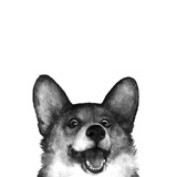 恋暖