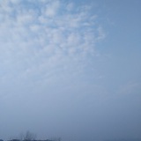 匪小茉