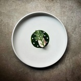 王同学