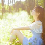夏风依旧
