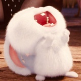 蜗牛
