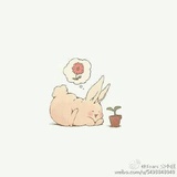 兔子