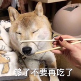 不留