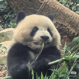 摩托头盔有点灰