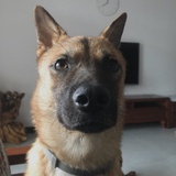kaibanco